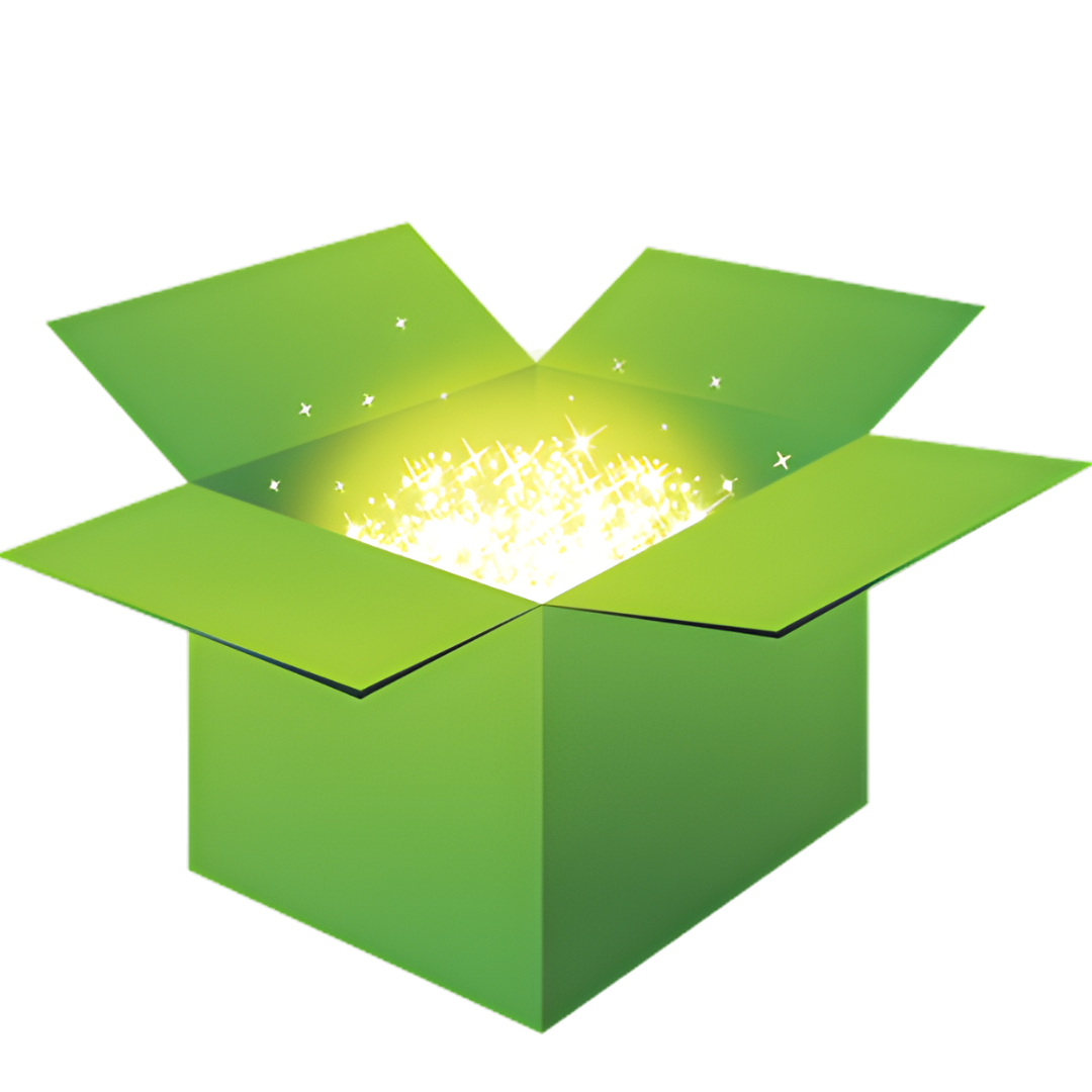 SoleMates™ Mystery Box